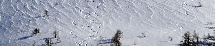 Frühling Schnee