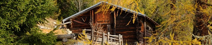 Stall Herbst