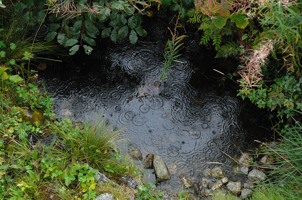 Weiher vor dem Chalet