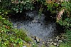 Weiher vor dem Chalet Thumb